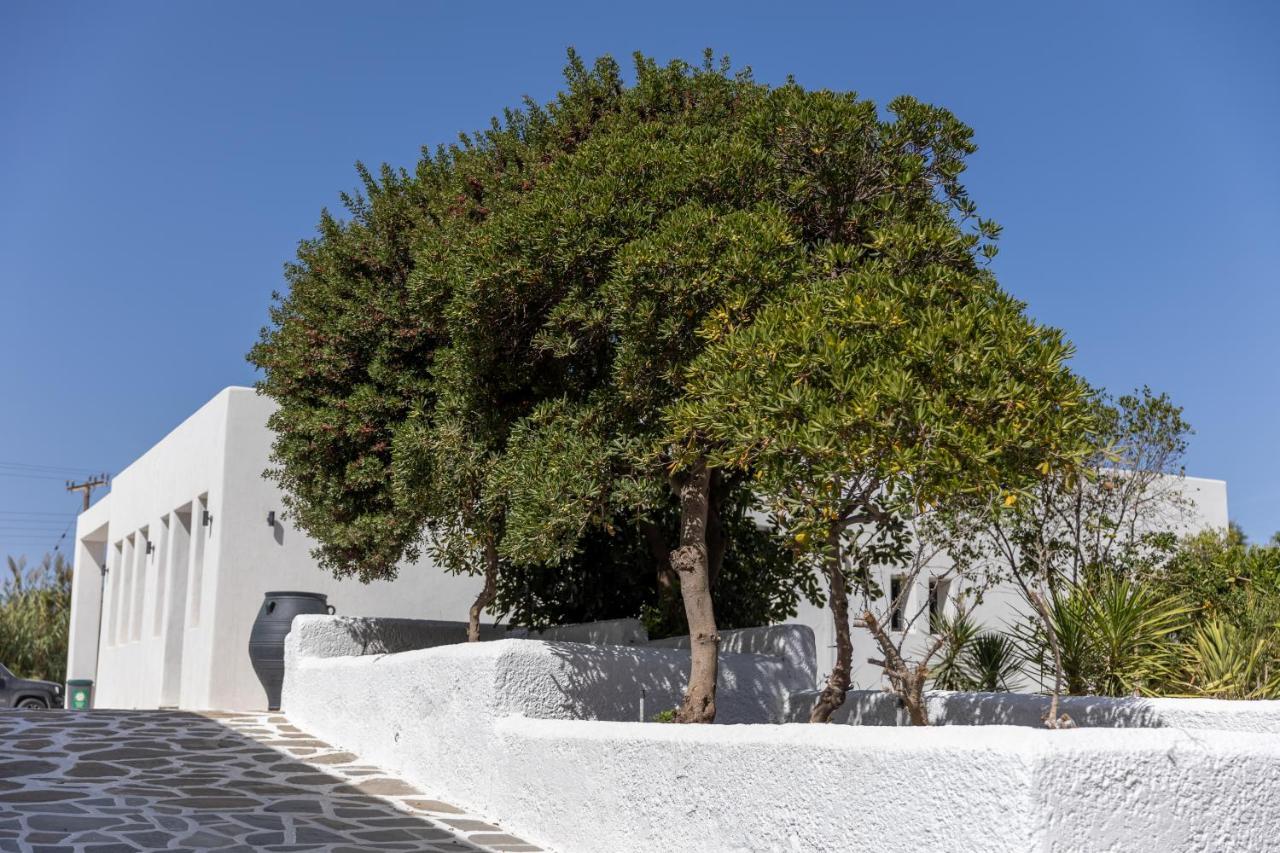 Naxos Green Village Hotel Naxos City Екстериор снимка